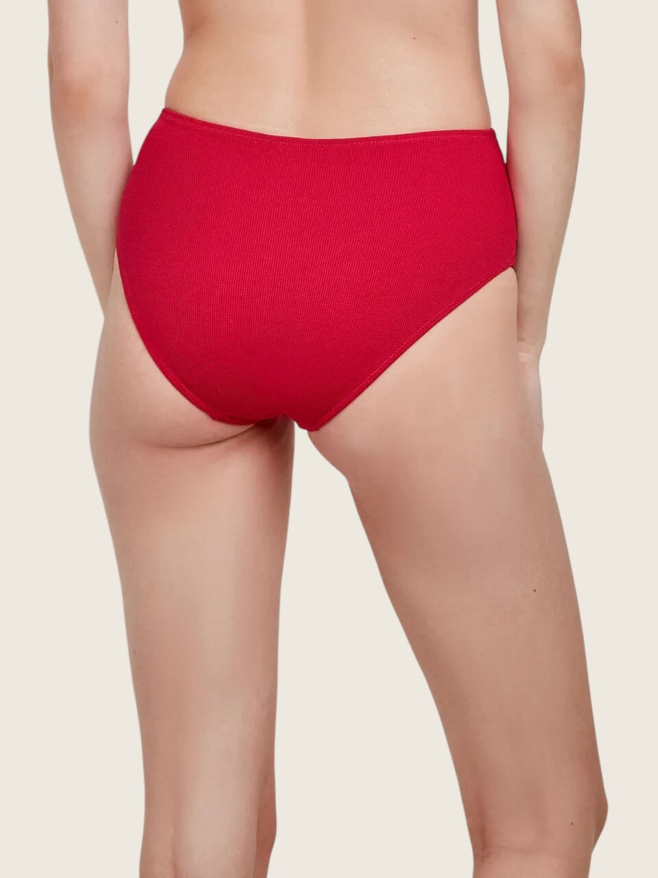 Slip bikini alto tessuto struttura